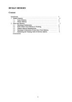 Referāts 'Human Memory', 1.