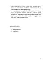 Referāts 'Pensiju otrais līmenis', 5.