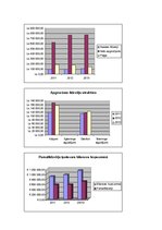 Paraugs 'Uzņēmuma finanšu analīze', 1.