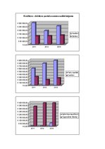 Paraugs 'Uzņēmuma finanšu analīze', 2.