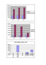 Paraugs 'Uzņēmuma finanšu analīze', 3.