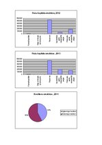 Paraugs 'Uzņēmuma finanšu analīze', 4.