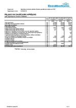 Paraugs 'Uzņēmuma finanšu analīze', 9.