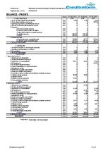 Paraugs 'Uzņēmuma finanšu analīze', 12.