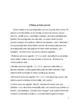 Referāts 'Vācu kultūras struktūras pazīmes', 7.