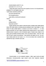 Referāts 'Telekomunikāciju tīkli ar simetrisko un optisko kabeli', 8.