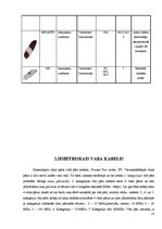 Referāts 'Telekomunikāciju tīkli ar simetrisko un optisko kabeli', 13.