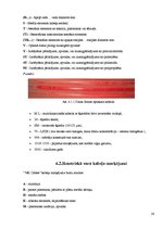 Referāts 'Telekomunikāciju tīkli ar simetrisko un optisko kabeli', 28.