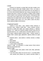 Referāts 'Uzņēmuma stratēģiskā analīze', 2.