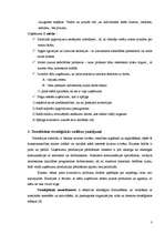 Referāts 'Uzņēmuma stratēģiskā analīze', 3.