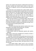 Referāts 'Uzņēmuma stratēģiskā analīze', 7.