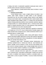 Referāts 'Uzņēmuma stratēģiskā analīze', 8.