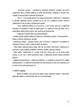 Referāts 'Uzņēmuma stratēģiskā analīze', 10.