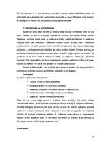 Referāts 'Uzņēmuma stratēģiskā analīze', 13.