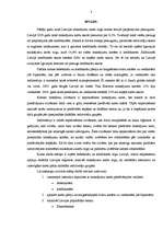 Referāts 'Kredītkaršu un debetkaršu tirgus Latvijā', 3.