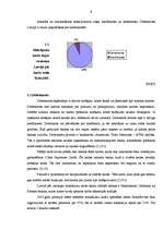 Referāts 'Kredītkaršu un debetkaršu tirgus Latvijā', 9.