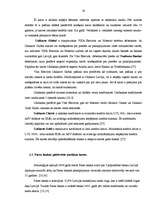 Referāts 'Kredītkaršu un debetkaršu tirgus Latvijā', 19.