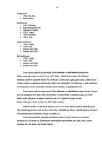 Referāts 'Kredītkaršu un debetkaršu tirgus Latvijā', 20.