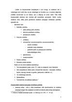 Konspekts 'Starptautiskās reklāmas un mārketinga veidošanās un problēmas', 2.