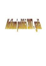 Konspekts '2007.gada notikumi politikā', 1.