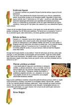 Konspekts '2007.gada notikumi politikā', 6.