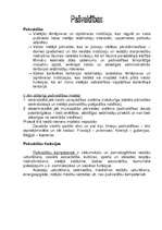 Referāts 'Birokrātija, pašvaldības, pašvaldības Latvijā, parlamentārisms, prezidentālisms,', 4.