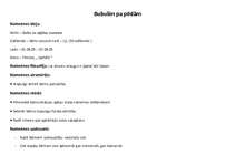 Konspekts 'Bērnu nometnes plāns', 1.