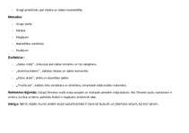 Konspekts 'Bērnu nometnes plāns', 2.