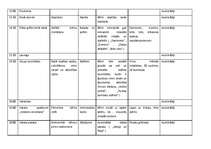 Konspekts 'Bērnu nometnes plāns', 9.