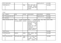 Konspekts 'Bērnu nometnes plāns', 10.