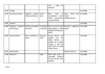 Konspekts 'Bērnu nometnes plāns', 11.