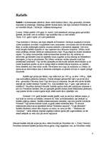 Referāts 'Rafaels', 6.