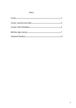 Referāts 'Latvija Pirmā pasaules kara laikā. Brīvības cīņas', 2.