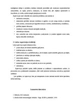 Konspekts 'Supervīzijas specifika dažādās sociālās institūcijās darbā sociālo gadījumu', 4.