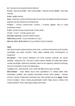 Konspekts 'Viduslaiku laicīgā mūzika', 2.