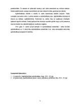 Referāts 'Apdrošināšanas nozīme tautsaimniecībā', 21.