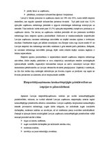 Konspekts 'SIA "Adugs" produkcijas pārdošanas iespējas Grieķijā', 13.