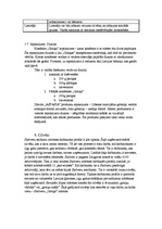 Konspekts 'SIA "Skrīveru saldumi"', 12.