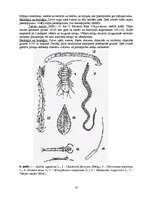 Referāts 'Rīgas ūdenstilpju ūdens kvalitātes noteikšana', 18.