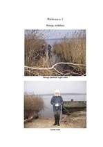 Referāts 'Rīgas ūdenstilpju ūdens kvalitātes noteikšana', 45.