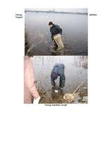 Referāts 'Rīgas ūdenstilpju ūdens kvalitātes noteikšana', 46.