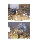 Referāts 'Rīgas ūdenstilpju ūdens kvalitātes noteikšana', 47.