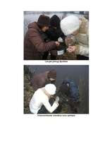 Referāts 'Rīgas ūdenstilpju ūdens kvalitātes noteikšana', 48.