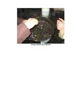 Referāts 'Rīgas ūdenstilpju ūdens kvalitātes noteikšana', 49.