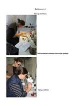 Referāts 'Rīgas ūdenstilpju ūdens kvalitātes noteikšana', 50.