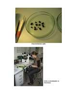 Referāts 'Rīgas ūdenstilpju ūdens kvalitātes noteikšana', 51.