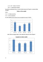 Referāts 'SIA "Merks" finanšu analīze', 13.