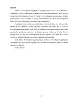 Referāts 'Tiesības uz kriminālprocesa pabeigšanu saprātīgā termiņā', 5.