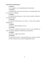 Referāts 'Tiesības uz kriminālprocesa pabeigšanu saprātīgā termiņā', 33.