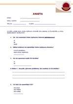Konspekts 'Anketa VID', 1.